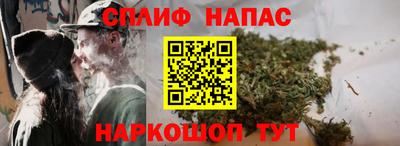 индика Ирбит