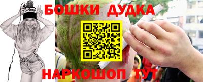 индика Ирбит