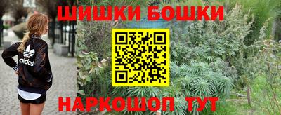 индика Ирбит