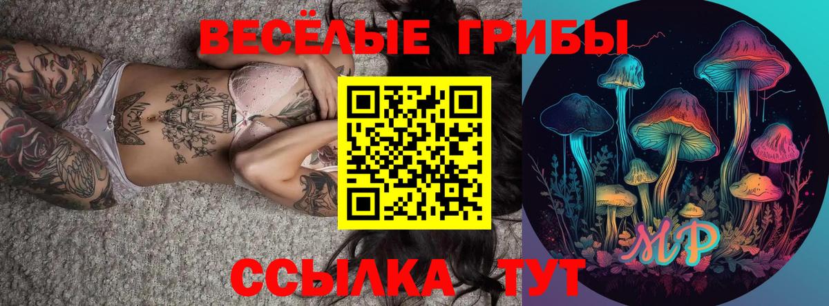 Псилоцибиновые грибы Magic Shrooms Кашира