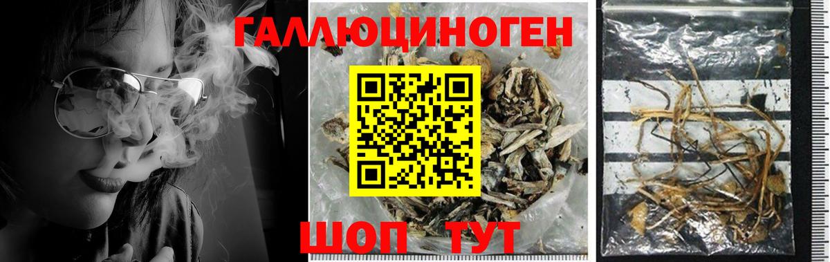 Галлюциногенные грибы Magic Shrooms  Вход с VPN  закладки  Кашира  Псилоцибиновые грибы Cubensis 
